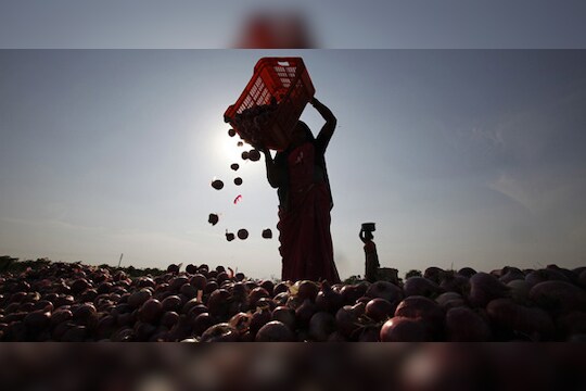 लॉकडाऊनमध्ये घरी जाण्यासाठी झाला कांदा व्यापारी, 3 लाख रु. खर्च करुन मुंबईहून पोहोचला गावी