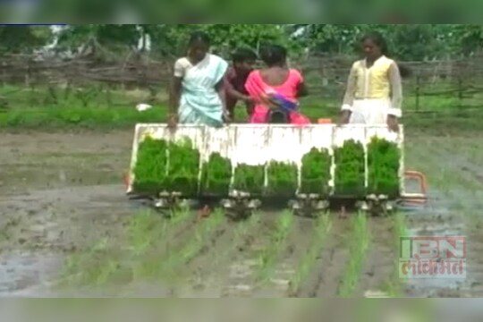 गडचिरोलीत भातशेतीचा आधुनिक प्रयोग