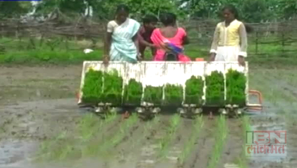 गडचिरोलीत भातशेतीचा आधुनिक प्रयोग