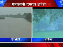 विदर्भात बळीराजा सुखावला