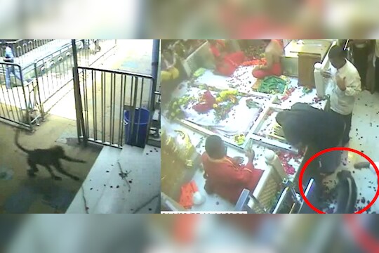 देवा तुझी दुनिया न्यारी, माणसं भांडताय मुकी जनावर भक्त झाली !  