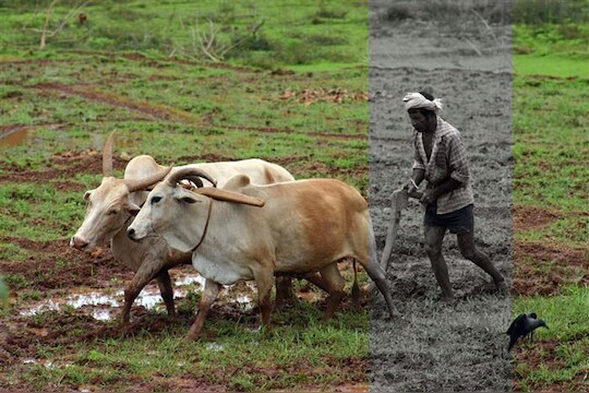 शेतीचं बदलतं अर्थकारण 