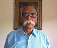 इंग्रजी शाळेबद्दल नेमाडेंच्या विधानाशी सहमत आहात का ?  