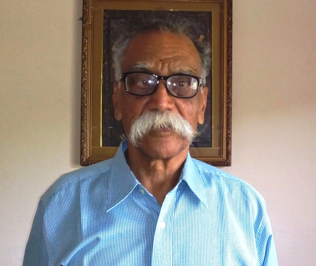 इंग्रजी शाळेबद्दल नेमाडेंच्या विधानाशी सहमत आहात का ?