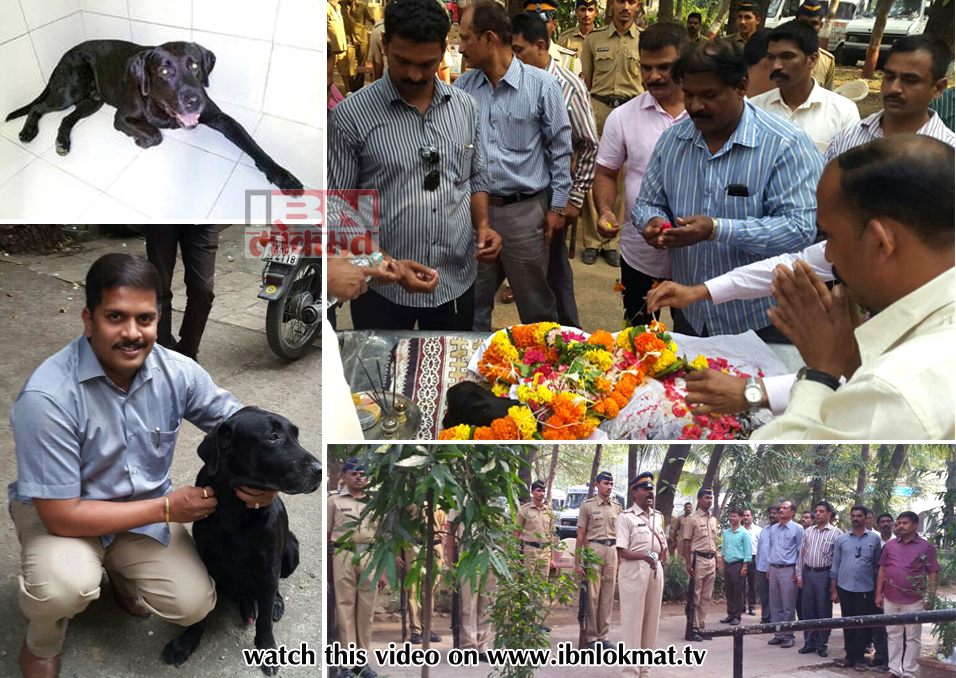 पोलिसांचा 'प्रिन्स' हरपला