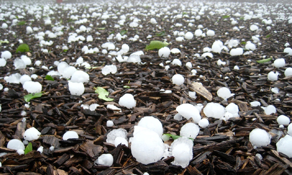 अवकाळी पावसानंतर राज्यात गारपिटीचा इशारा