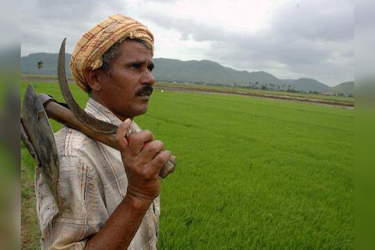 दुष्टचक्र संपता संपेना ! 