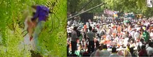 'आप'च्या रॅलीत शेतकर्‍याची आत्महत्या