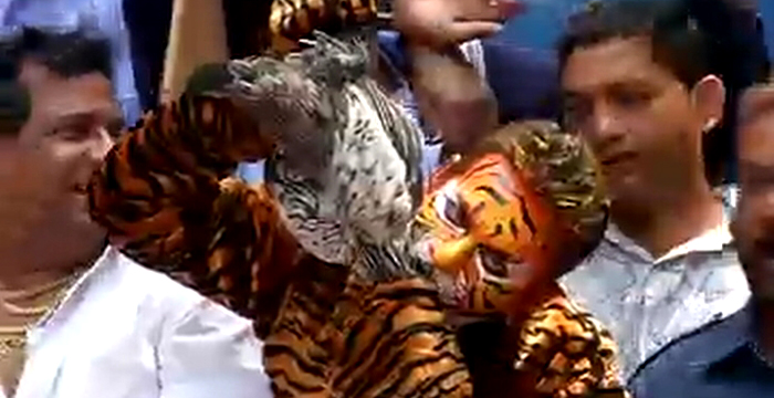 नारायण राणेंच्या घराबाहेर शिवसैनिकांचा जल्लोष