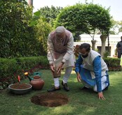 पंतप्रधानांनी लावलं रोपटं