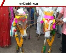 खरंखुरं गाढवाचं लग्न ! खरंखुरं गाढवाचं लग्न !