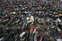 बाईक्सचंं शहर असलेलं पुणे गाड्या चोरण्यातही 'अव्वल'