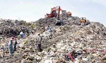 मुंबईतल्या मुलुंड आणि देवनार डंपिंग ग्राऊंडची कंत्राटं रद्द