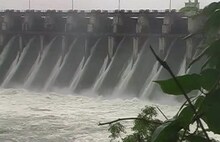 उजनीचं पाणी उसाला नाही, सोलापुरात साखरसम्राट धास्तावले !