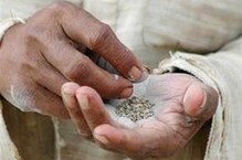 गुरुजी ऐका !, शाळेत तंबाखू सेवन कराल तर नोकरीला मुकणार गुरुजी ऐका !, शाळेत तंबाखू सेवन कराल तर नोकरीला मुकणार
