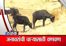 गावाकडच्या बातम्या (20 मार्च)