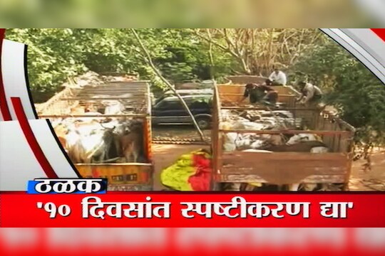 गावाकडच्या बातम्या (03 एप्रिल)