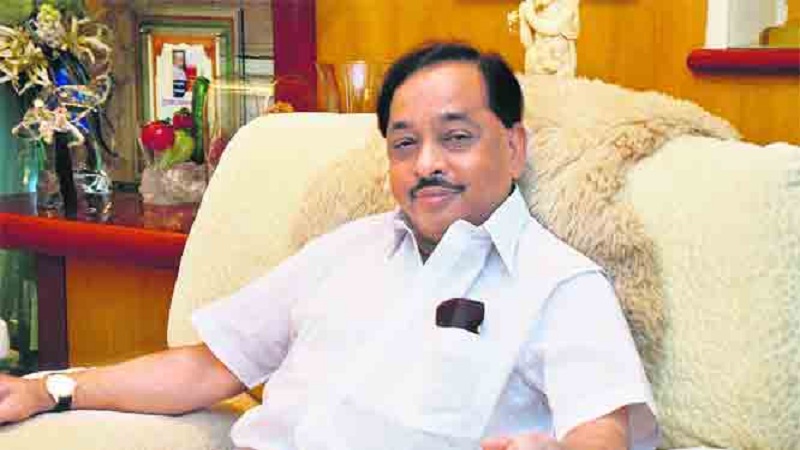 नारायण राणे कोणत्या मंत्र्यांचा करणार भार हलका ?