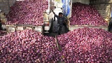 लासलगावमध्ये कांदा लिलाव बेमुदत बंद लासलगावमध्ये कांदा लिलाव बेमुदत बंद