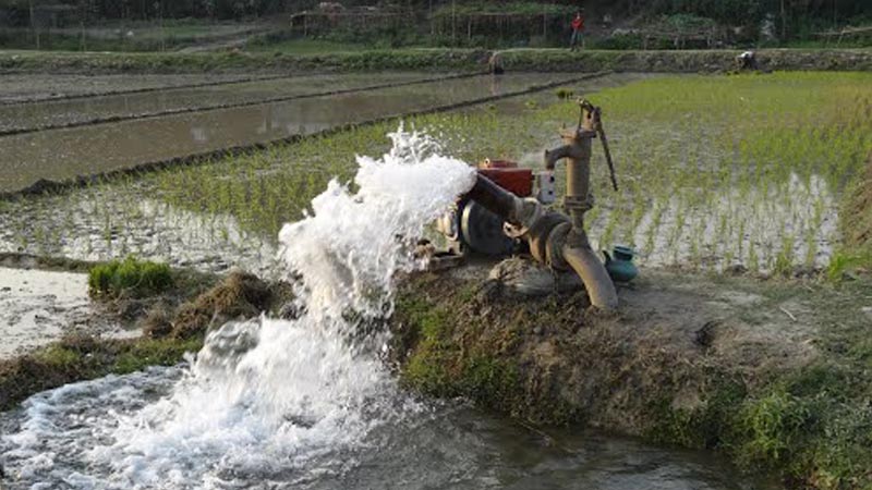 कृषीपंपाच्या वीजदरात अडीच पटीनं वाढ, 40 लाख शेतकऱ्यांना फटका