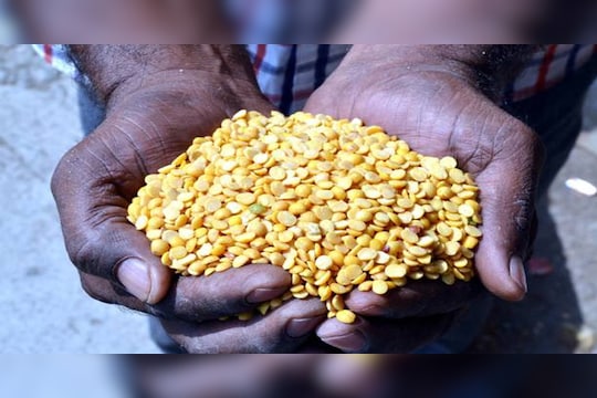 सगळे सारखेचं !, तूर शेतकऱ्यांची अशी झाली लूट