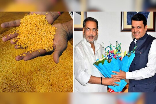 शेतकऱ्यांना मोठा दिलासा, तूर खरेदीची मुदत 31 मेपर्यंत वाढवली