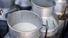 दूध ५ रुपयांनी महागण्याची शक्यता
