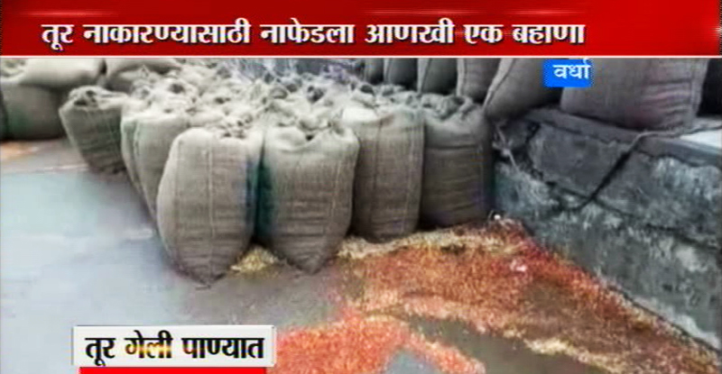 पावसामुळे अखेर तूर भिजली, अडवून ठेवलेली तूर नाफेड घेणार का ?