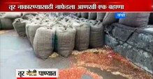 पावसामुळे अखेर तूर भिजली, अडवून ठेवलेली तूर नाफेड घेणार का ? पावसामुळे अखेर तूर भिजली, अडवून ठेवलेली तूर नाफेड घेणार का ?