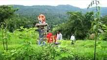 कोकणात पारंपरिक पद्धतीने गणरायाचं आगमन कोकणात पारंपरिक पद्धतीने गणरायाचं आगमन