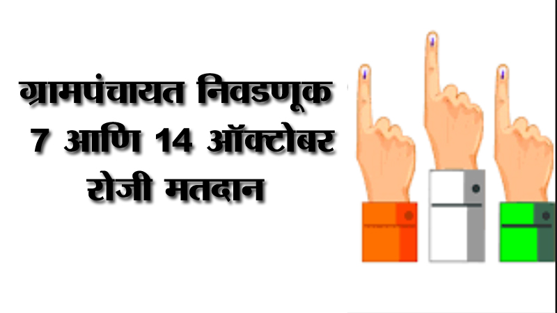 ग्रामपंचायत आणि सरपंचपदाच्या निवडणुकीचा असा आहे कार्यक्रम