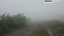भीमाशंकरमध्ये धुकं मुक्कामी