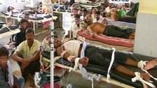 विषारी कीटकनाशकांमुळे शेतकऱ्यांची दुरावस्था