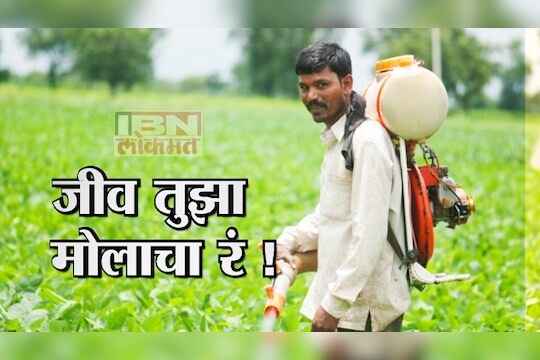 कीटकनाशकांच्या बळींची जबाबदारी कुणाची?