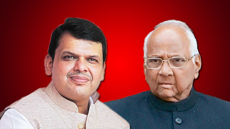 बोंड अळीच्या मुद्द्यांवर मुख्यमंत्री देवेंद्र फडणवीस आणि शरद पवार यांची आज बैठक