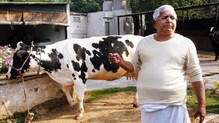 लालूंनी चारा 'खाल्ला', नेमकं काय आहे प्रकरण ? लालूंनी चारा 'खाल्ला', नेमकं काय आहे प्रकरण ?