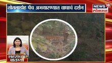 ...अन् निघाली वाघोबाची स्वारी!