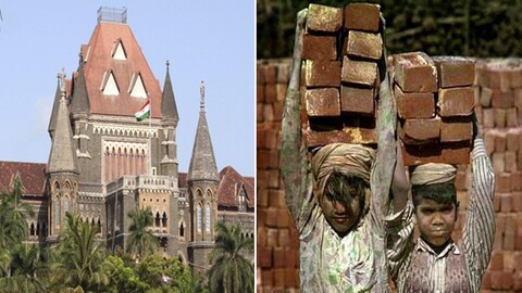 काम न करणाऱ्या अधिकाऱ्यांविरोधात फौजदारी कारवाई केली तरच ते वठणीवर येतील अशा शब्दात कोर्टाने सरकारच्या कारभाराचे वाभाडे काढले आहेत.