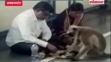 ...आणि अक्कलकोटमध्ये पंगतीत बसून मारला वानराने महाप्रसादावर ताव !