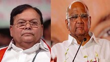 पतंगराव कदमांच्या जाण्याने राजकीय आणि सामाजिक जीवनाची हानी - शरद पवार