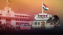 3 लाख 17 हजार ४०० उंदीर नव्हे 'त्या' फक्त गोळ्या, सरकारकडून घोटाळ्यावर पडदा
