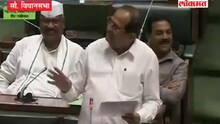 'मांजर उंदरांना पकडायला जाते पण...'