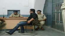 पाच वर्षांसाठी 'टायगर' जोधपुरच्या जेलमध्ये! आता पुढं काय ?
