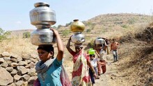 आठ तालुक्यात दुष्काळ जाहीर, विदर्भाला झुकतं माप?