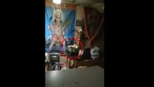 हे पाहून खाणं सोडून द्याल! उंदरांचा विमानतळावरील कँटीनमध्ये धुमाकूळ, व्हिडिओ व्हायरल