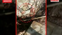 सापाबरोबर केलेली स्टंटबाजी जिवावर बेतली