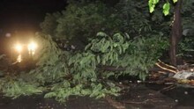 देशभरात अवकाळी पावसाचं थैमान, राजस्थानमध्ये 32, युपीमध्ये 45 जणांचा मृत्यू