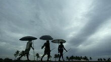 राज्यात हवामानाचा पुन्हा यू-टर्न, 'या' भागांमध्ये मुसळधार पावसाचा इशारा