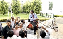 ऑफिसात पोहोचण्यासाठी सॉफ्टवेअर इंजिनिअरची बंगळूरात घोड्यावरून स्वारी!