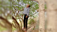 शिवनेरी गडाच्या पहिल्या दरवाज्याजवळ मुलीने गळफास लावून केली आत्महत्या